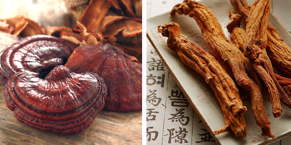 Linh Chi giúp cơ thể sẵn sàng. Hồng Sâm cung cấp "nhiên liệu" để bạn hành động. Sự kết hợp này giải quyết trọn vẹn bài toán giảm cân. Đó là sự hiệp đồng sức mạnh hoàn hảo cho vóc dáng.