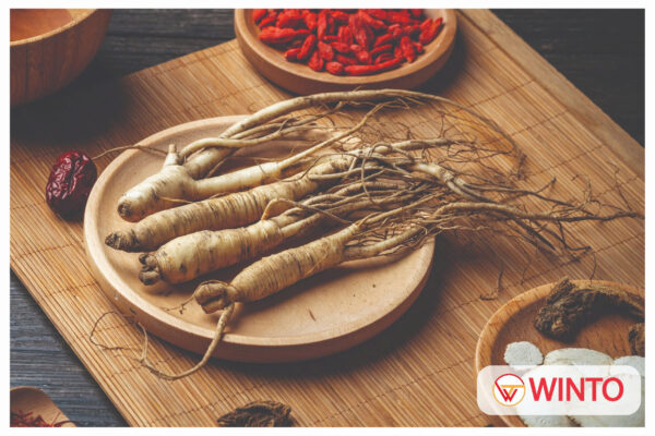 Rượu Nhân Sâm Táo Đỏ Kỷ Tử là một thức uống tinh hoa. Nó kết hợp hoàn hảo giữa các dược liệu quý
