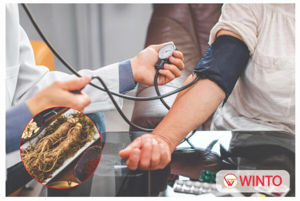 Liệu cao huyết áp có dùng sâm được không?