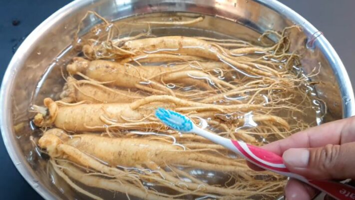 Nhân sâm tươi Hàn Quốc là một thảo dược vô cùng quý giá