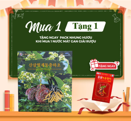 Combo 1: Tận Tâm Với Nghề (Quà tặng cho sự thư thái)