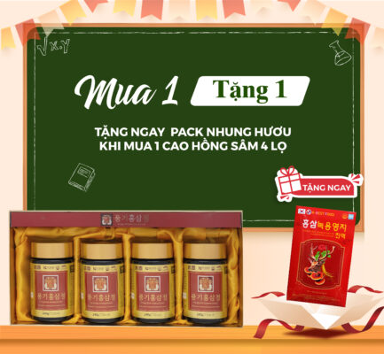 Bồi Bổ Chuyên Sâu (Tinh túy hồng sâm)