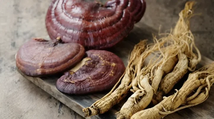 Hồng sâm đã được trung hòa tính hàn. Nhưng khi kết hợp với linh chi (tính hàn), sự xung đột dược tính vẫn có thể xảy ra. Cơ thể phải làm việc vất vả hơn để cân bằng.