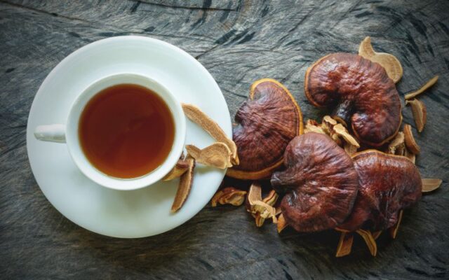 Nấm Linh Chi từ lâu đã nổi danh là thượng dược quý giá bậc nhất