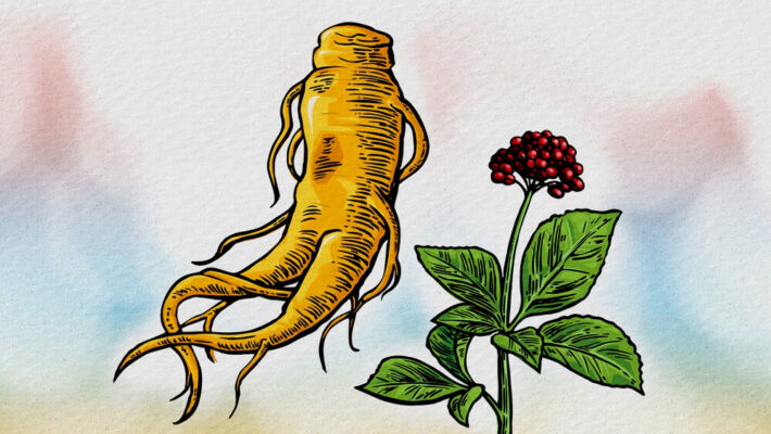 Geumsan ngày nay chính là thủ phủ nhân sâm của Hàn Quốc