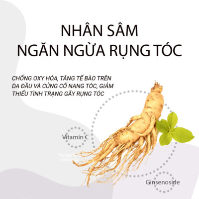 Sử dụng sản phẩm chăm sóc tóc chứa nhân sâm
