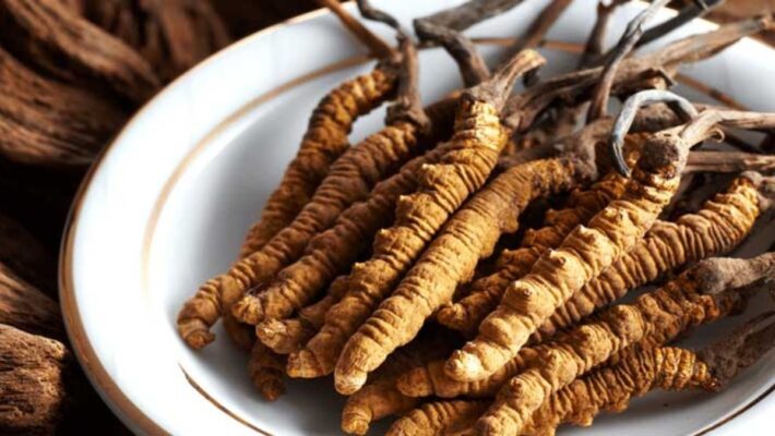 Nếu bạn đang thắc mắc người tiểu đường và cao huyết áp dùng đông trùng hạ thảo được không? Thì câu trả lời là có, nhưng phải bỏ rượu bia thì mới hiệu quả.