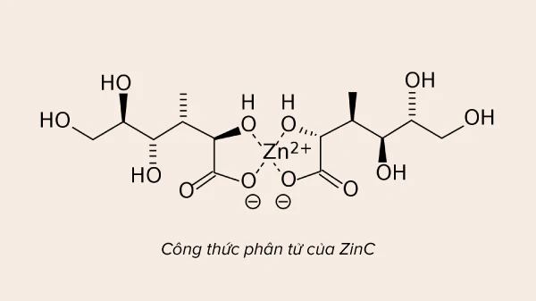 Kẽm (Zinc) là một nguyên tố vi lượng nhỏ bé nhưng quyền năng.