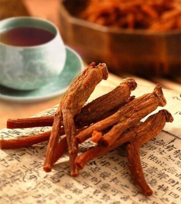 Cơ chế uống hồng sâm Hàn Quốc giúp tăng cân tự nhiên