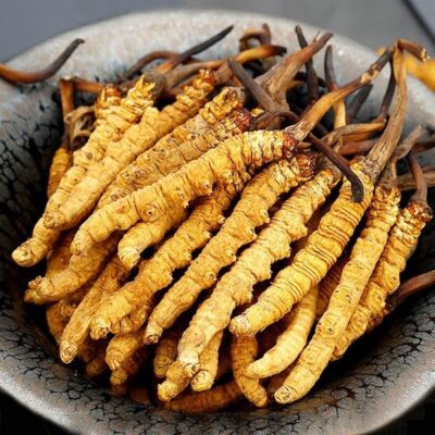 Đông trùng hạ thảo được ví như "vàng mềm" của vùng đất Tây Tạng huyền bí. Đây là vị thuốc quý hiếm bậc nhất trong y học cổ truyền phương Đông.