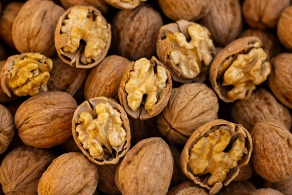 Quả óc chó chứa lượng lớn axit béo Omega-3 thực vật quý giá. Omega-3 chiếm phần lớn trong cấu trúc chất xám của não bộ. Ngoài ra nó còn giàu Lysine cần thiết cho hoạt động trí tuệ.
