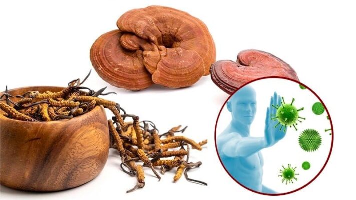Bột Linh Chi và Đông Trùng Hạ Thảo đều là món quà vô giá. Thiên nhiên đã ưu ái ban tặng chúng cho sức khỏe con ngườ