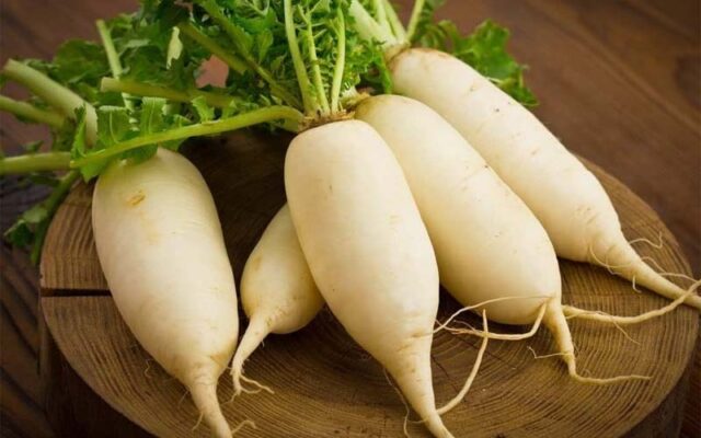 Củ cải có tính hạ khí mạnh, sẽ triệt tiêu tính bổ của sâm. Việc ăn chung sẽ làm lãng phí tiền bạc và công sức của bạn.