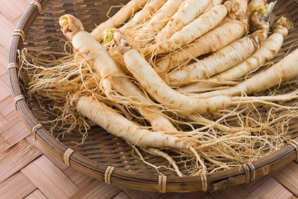 Nhân sâm giúp nâng cao chính khí (sức đề kháng) của cơ thể bạn
